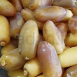 خرمای شاهانی