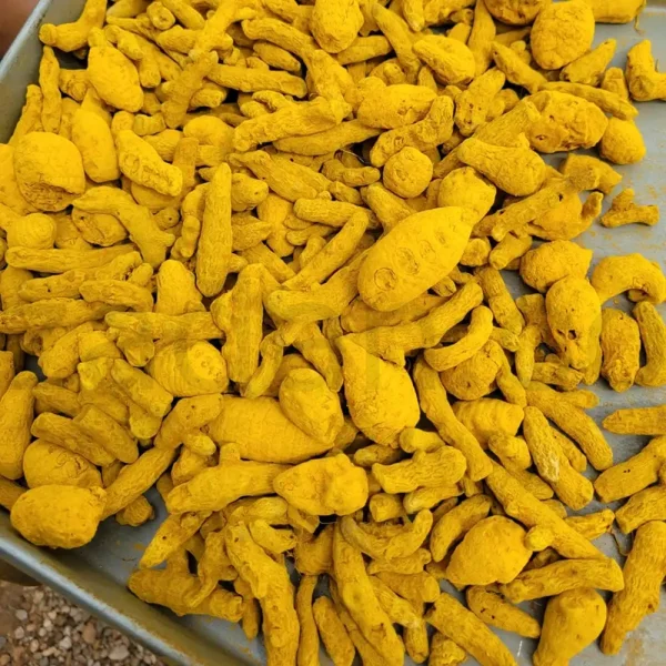 زردچوبه
