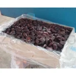 خرمای کبکاب