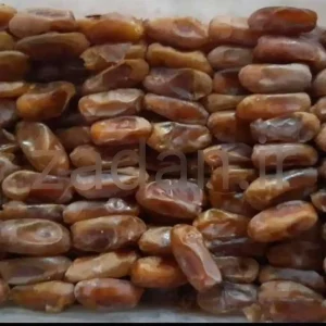 خرمای شاهانی